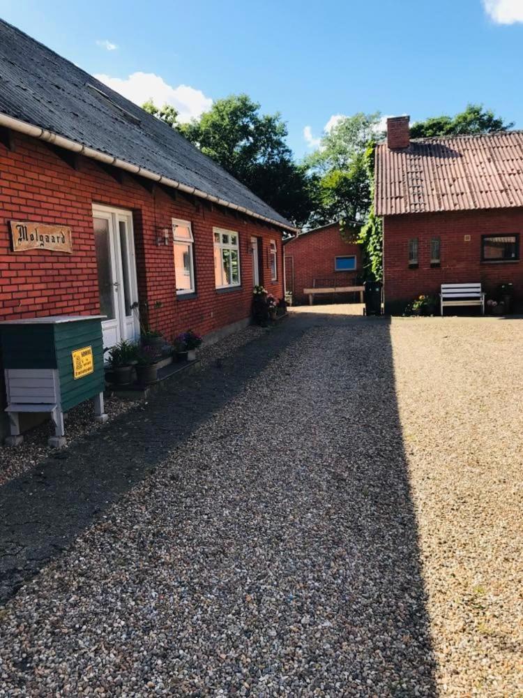 B & B Molgaard By Skjern Exterior photo